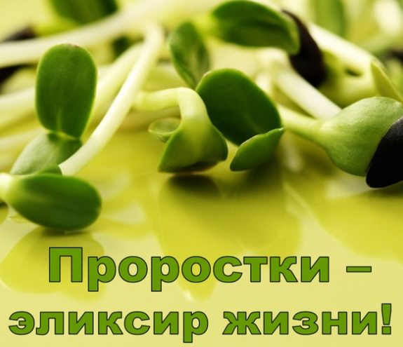 Проростки - эликсир жизни! - Дудник (2017)_0.png